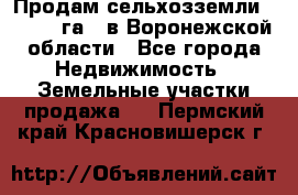 Продам сельхозземли ( 6 000 га ) в Воронежской области - Все города Недвижимость » Земельные участки продажа   . Пермский край,Красновишерск г.